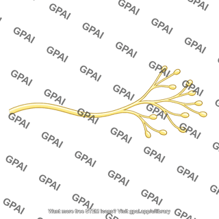 Sensory nerve ending