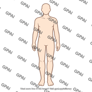 Human body outline