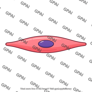 Generic muscle cell