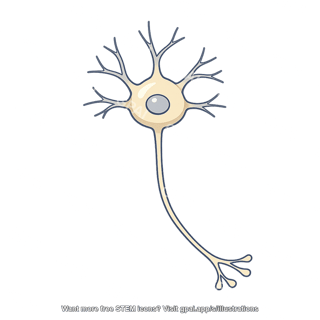 Simple cell