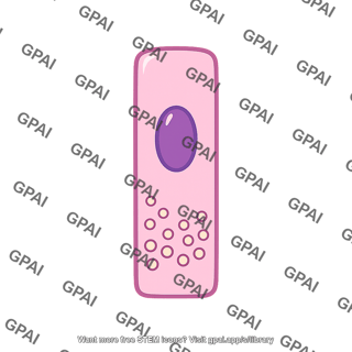 K cell
