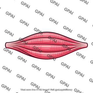 Skeletal muscle tissue