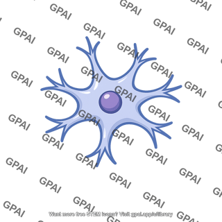 Pituicyte