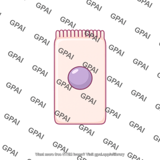 Sachet packet