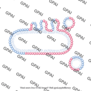 Membrane budding large pill shaped membrane small vesicle