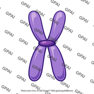 Chromosome