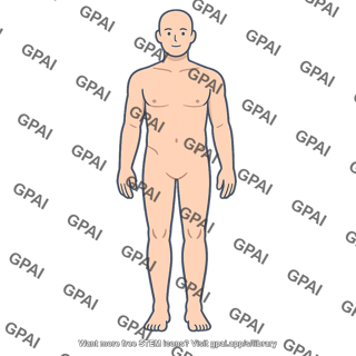 Human adult