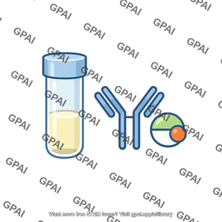 Immunoassay