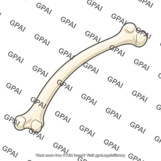 Bone osteomalacic