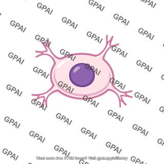 Osmoreceptor cell