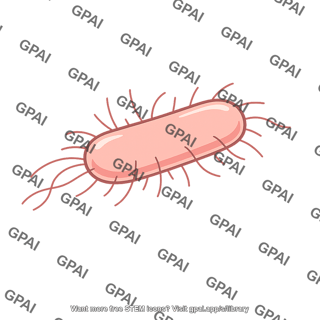 Colon bacillus