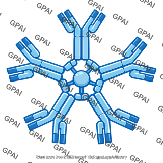 Igm antibody