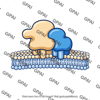 Tissue factor membrane complex