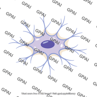 Osteocyte