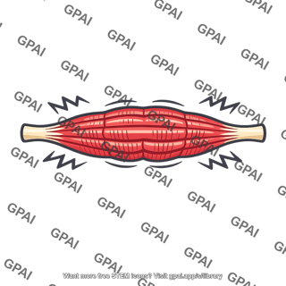 Skeletal muscle shivering