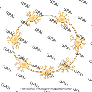 Reverberating neuron circuit