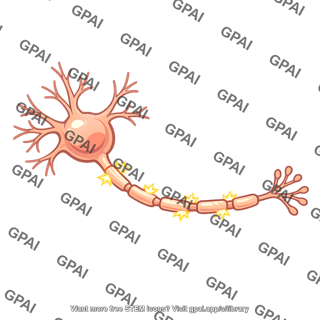 Neuron active