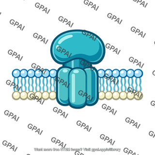 Membrane associated adenosine triphosphatase
