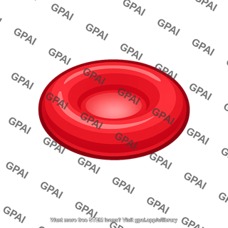 Red blood cell non nucleated
