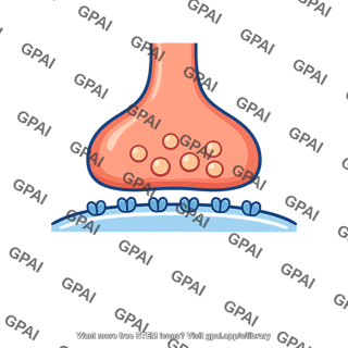 Synapse enlarged
