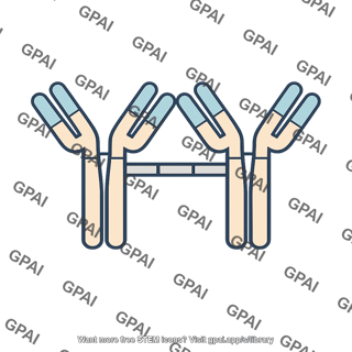 Iga antibody