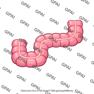 Large intestine