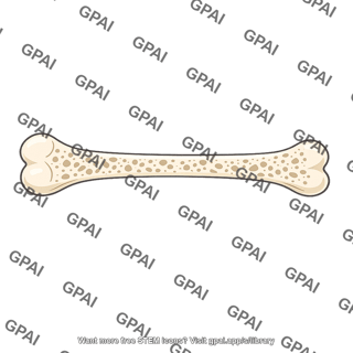 Bone deconditioned