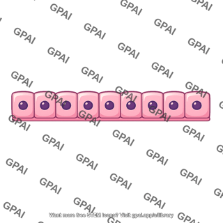 Simple cuboidal epithelium