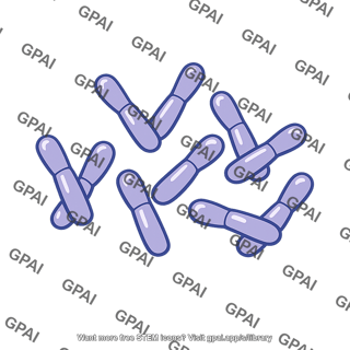 Corynebacterium diphtheriae