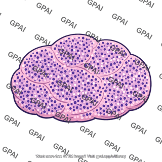 Lymphoid tissue