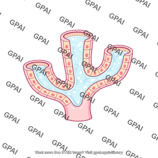 Cervical gland