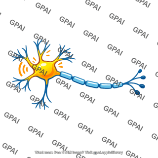 Activated neuron