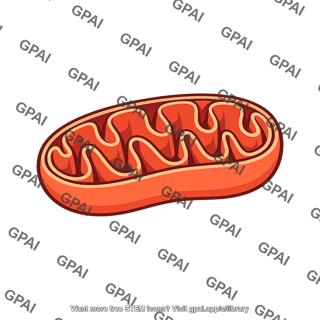 Cell mitochondrion
