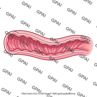 Vaginal canal