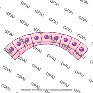 Renal tubular epithelium