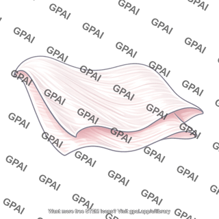 Fascia
