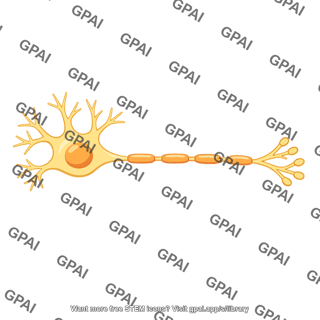 Neuron