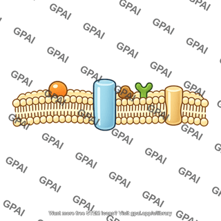 Tissue cell membrane