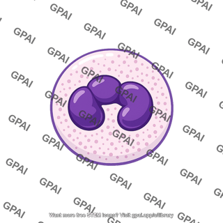 Granulocyte