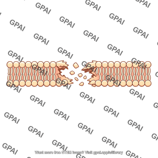 Cell membrane damaged