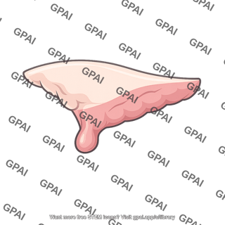 Raw chicken breast