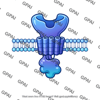 Membrane receptor protein