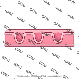Membrane with invaginations