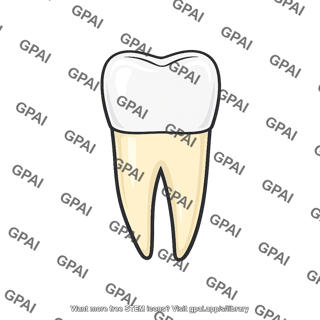 Tooth