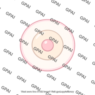 Primordial germ cell large pale nucleus