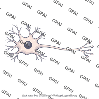 Neuron