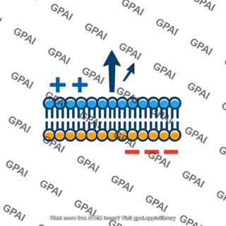 Membrane voltage change