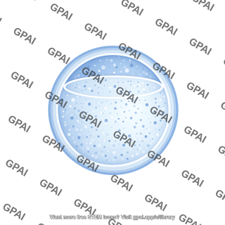 Vesicle medium stage 3