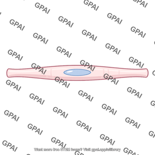 Conductive fiber