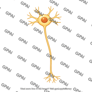 Neuron